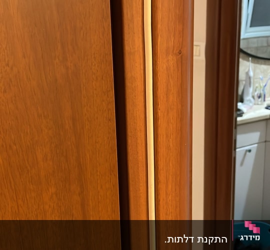 דלת עץ חומה עם פס איטום בהיר